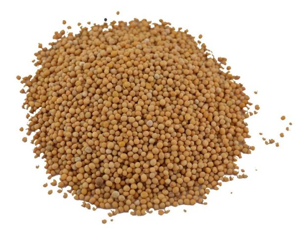 Mosterdzaad geel 150gr.